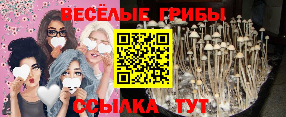 Галлюциногенные грибы ЛСД  Вход с VPN  Псилоцибиновые грибы Cubensis  Альметьевск 